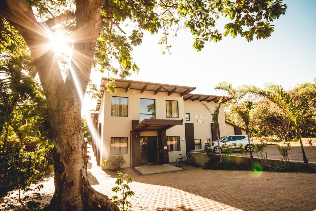 Forest Lodge Saint Lucia Estuary Zewnętrze zdjęcie