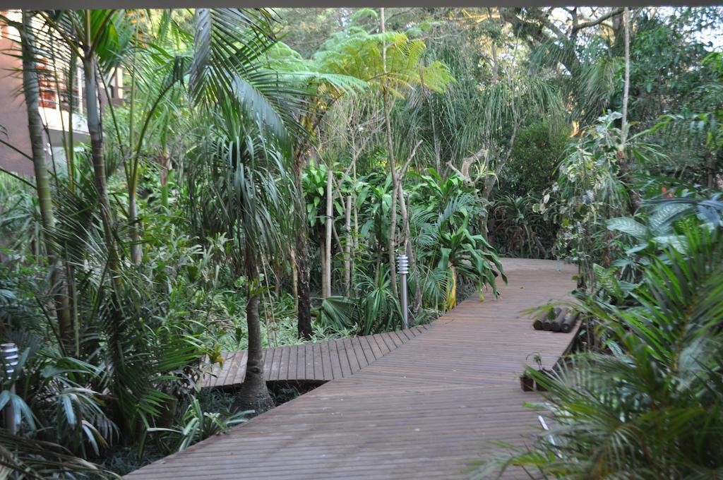 Forest Lodge Saint Lucia Estuary Zewnętrze zdjęcie