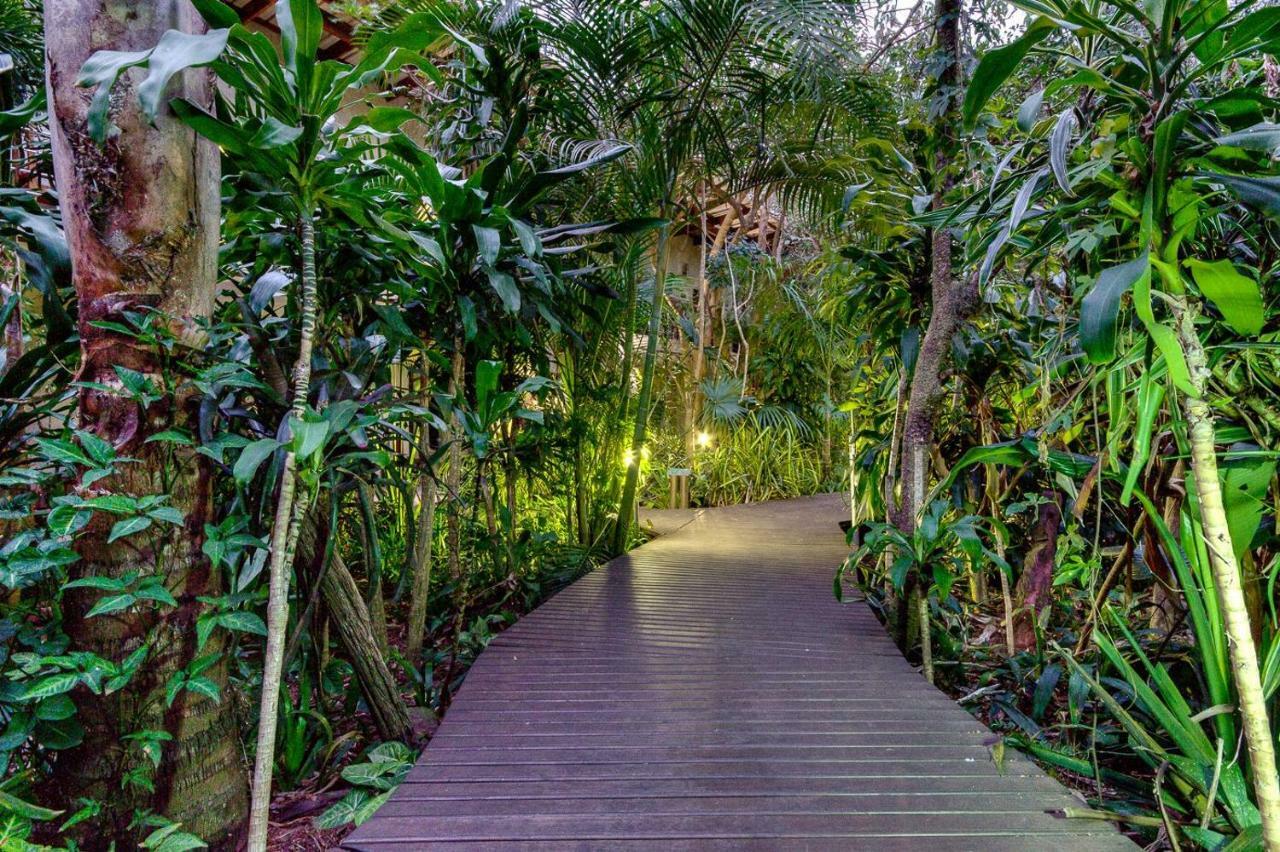 Forest Lodge Saint Lucia Estuary Zewnętrze zdjęcie